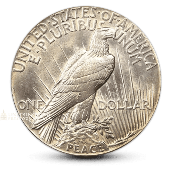 SILVER PEACE DOLLAR - AU - RANDOM YEAR 1