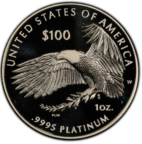 2018-W $100 Platinum American Eagle 2